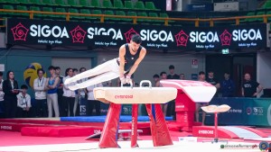 serie b 0557 simone ferraro ph